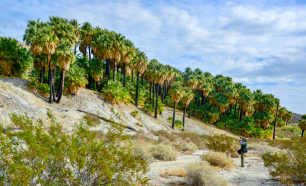 Desert Oasis and the Final Mile – California